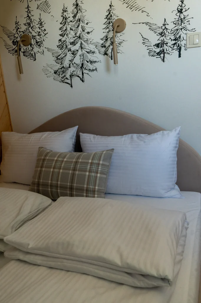 Cushions and bedroom wall decoration